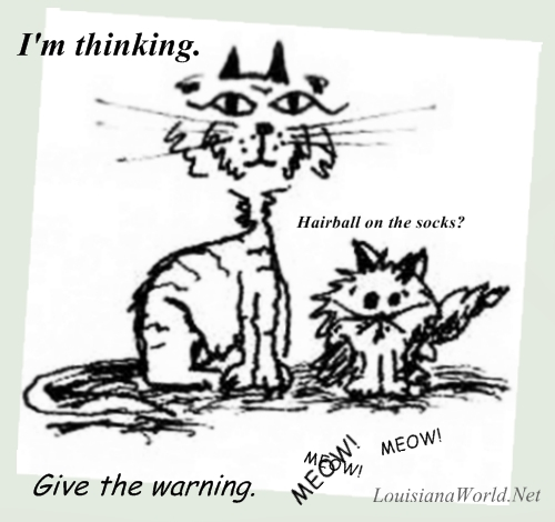 hairballonthesockswarning